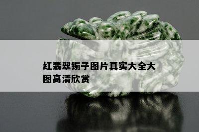 红翡翠镯子图片真实大全大图高清欣赏