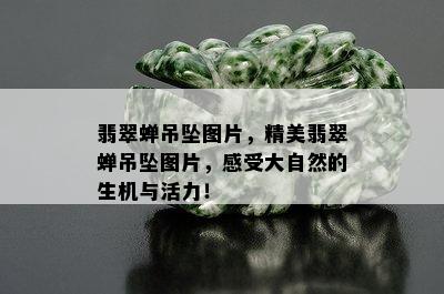 翡翠蝉吊坠图片，精美翡翠蝉吊坠图片，感受大自然的生机与活力！