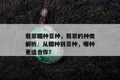 翡翠糯种豆种，翡翠的种类解析：从糯种到豆种，哪种更适合你？