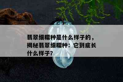 翡翠细糯种是什么样子的，揭秘翡翠细糯种：它到底长什么样子？