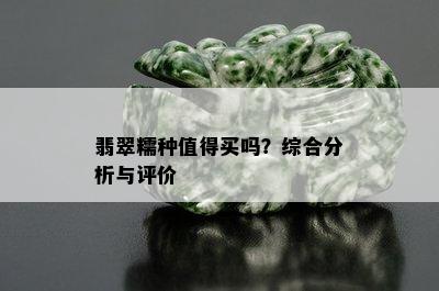 翡翠糯种值得买吗？综合分析与评价