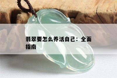 翡翠要怎么养活自己：全面指南