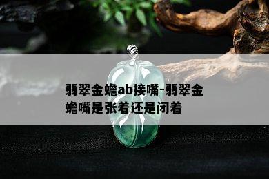 翡翠金蟾ab接嘴-翡翠金蟾嘴是张着还是闭着