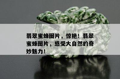 翡翠蜜蜂图片，惊艳！翡翠蜜蜂图片，感受大自然的奇妙魅力！