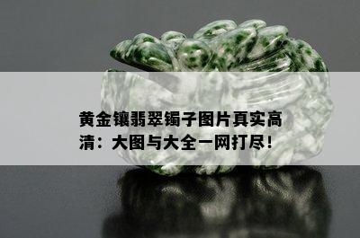 黄金镶翡翠镯子图片真实高清：大图与大全一网打尽！