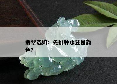 翡翠选购：先挑种水还是颜色？