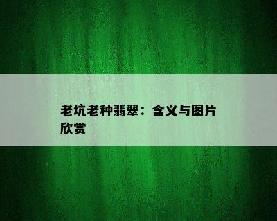 老坑老种翡翠：含义与图片欣赏