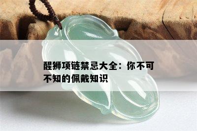 醒狮项链禁忌大全：你不可不知的佩戴知识