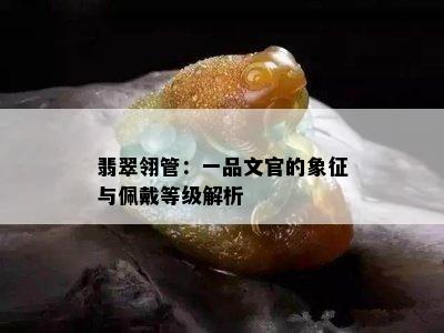 翡翠翎管：一品文官的象征与佩戴等级解析