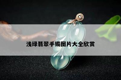 浅绿翡翠手镯图片大全欣赏