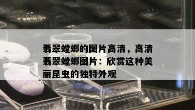 翡翠螳螂的图片高清，高清翡翠螳螂图片：欣赏这种美丽昆虫的独特外观