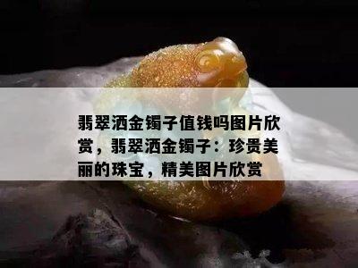 翡翠洒金镯子值钱吗图片欣赏，翡翠洒金镯子：珍贵美丽的珠宝，精美图片欣赏