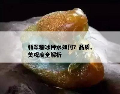 翡翠糯冰种水如何？品质、美观度全解析