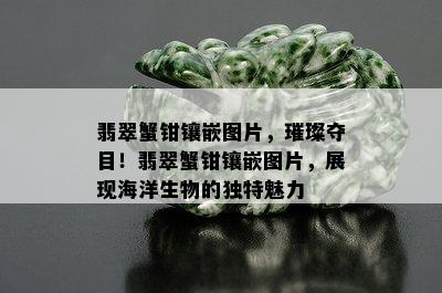 翡翠蟹钳镶嵌图片，璀璨夺目！翡翠蟹钳镶嵌图片，展现海洋生物的独特魅力