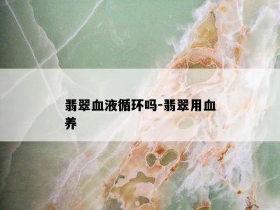 翡翠血液循环吗-翡翠用血养