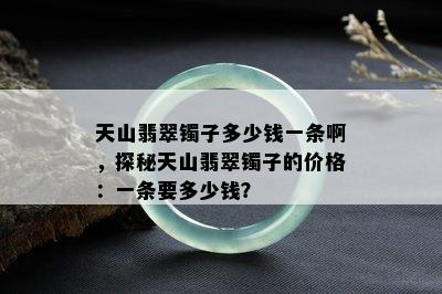 天山翡翠镯子多少钱一条啊，探秘天山翡翠镯子的价格：一条要多少钱？