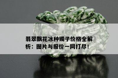 翡翠飘花冰种镯子价格全解析：图片与报价一网打尽！