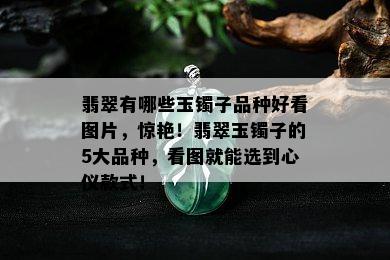 翡翠有哪些玉镯子品种好看图片，惊艳！翡翠玉镯子的5大品种，看图就能选到心仪款式！