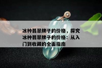 冰种翡翠牌子的价格，探究冰种翡翠牌子的价格：从入门到收藏的全面指南