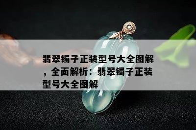 翡翠镯子正装型号大全图解，全面解析：翡翠镯子正装型号大全图解