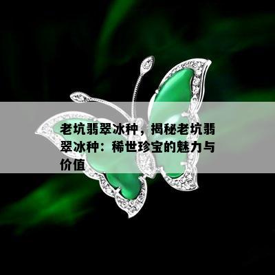 老坑翡翠冰种，揭秘老坑翡翠冰种：稀世珍宝的魅力与价值