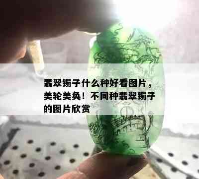 翡翠镯子什么种好看图片，美轮美奂！不同种翡翠镯子的图片欣赏