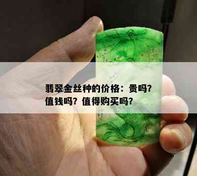 翡翠金丝种的价格：贵吗？值钱吗？值得购买吗？