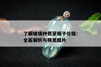 了解玻璃种翡翠镯子价格：全面解析与精美图片