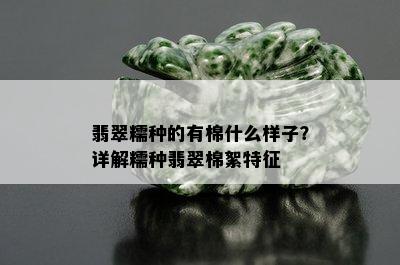 翡翠糯种的有棉什么样子？详解糯种翡翠棉絮特征