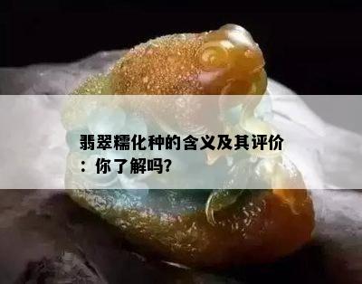 翡翠糯化种的含义及其评价：你了解吗？