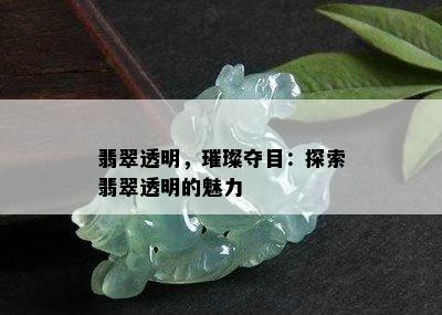 翡翠透明，璀璨夺目：探索翡翠透明的魅力