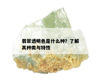 翡翠透明色是什么种？了解其种类与特性