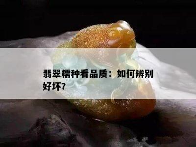 翡翠糯种看品质：如何辨别好坏？