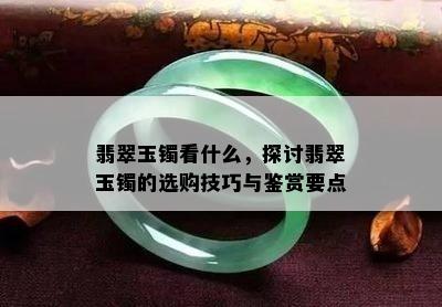 翡翠玉镯看什么，探讨翡翠玉镯的选购技巧与鉴赏要点