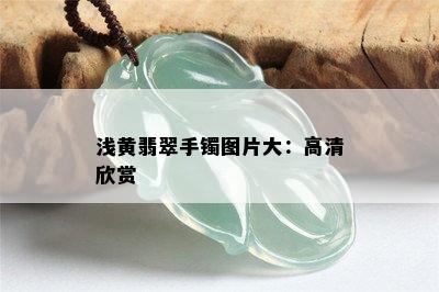 浅黄翡翠手镯图片大：高清欣赏