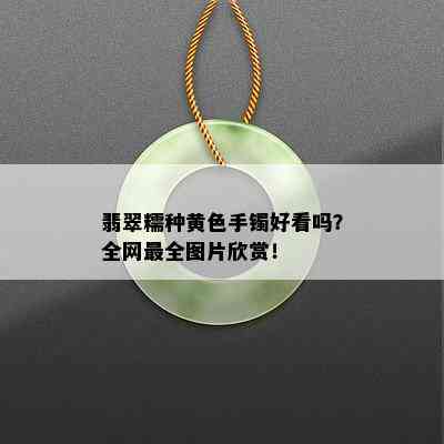 翡翠糯种黄色手镯好看吗？全网最全图片欣赏！