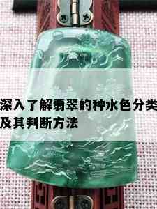 深入了解翡翠的种水色分类及其判断方法