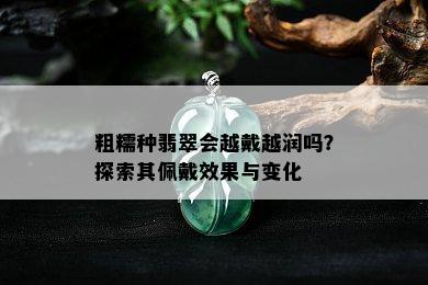 粗糯种翡翠会越戴越润吗？探索其佩戴效果与变化