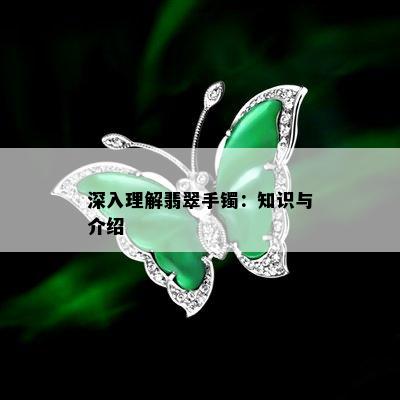 深入理解翡翠手镯：知识与介绍