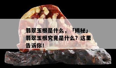 翡翠玉根是什么，「揭秘」翡翠玉根究竟是什么？这里告诉你！