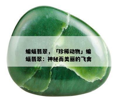 蝙蝠翡翠，「珍稀动物」蝙蝠翡翠：神秘而美丽的飞禽