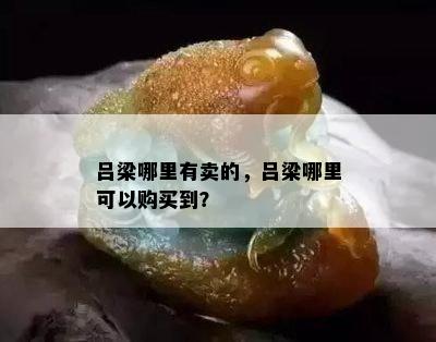 吕梁哪里有卖的，吕梁哪里可以购买到？