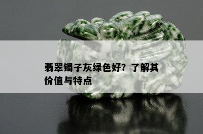 翡翠镯子灰绿色好？了解其价值与特点