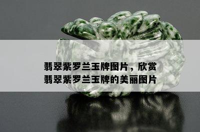 翡翠紫罗兰玉牌图片，欣赏翡翠紫罗兰玉牌的美丽图片