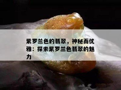 紫罗兰色的翡翠，神秘而优雅：探索紫罗兰色翡翠的魅力