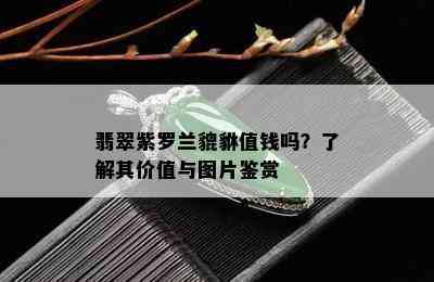 翡翠紫罗兰貔貅值钱吗？了解其价值与图片鉴赏