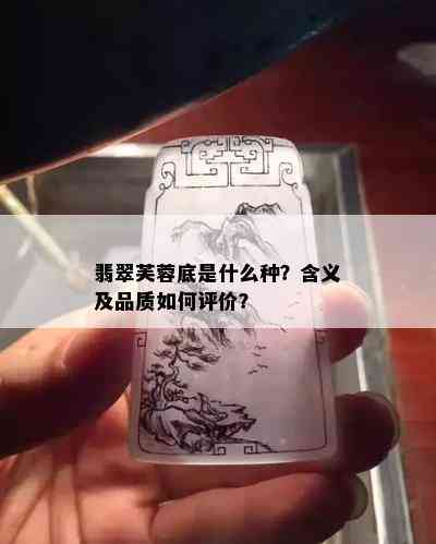 翡翠芙蓉底是什么种？含义及品质如何评价？