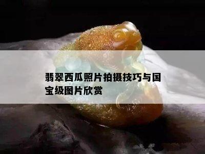 翡翠西瓜照片拍摄技巧与国宝级图片欣赏