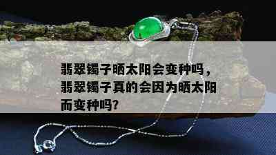 翡翠镯子晒太阳会变种吗，翡翠镯子真的会因为晒太阳而变种吗？