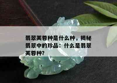 翡翠芙蓉种是什么种，揭秘翡翠中的珍品：什么是翡翠芙蓉种？